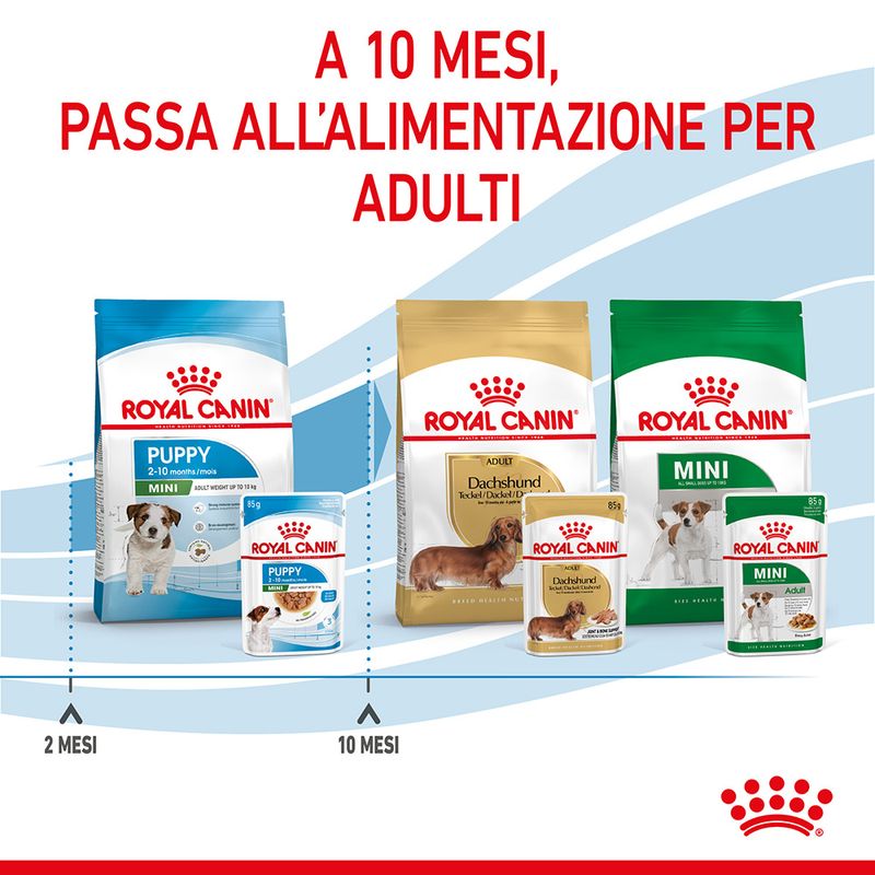 12x85g Royal Canin Mini Puppy - Cibo Umido per Cani Cuccioli 12x85g Royal Canin Mini Puppy - Cibo Umido per Cani Cuccioli